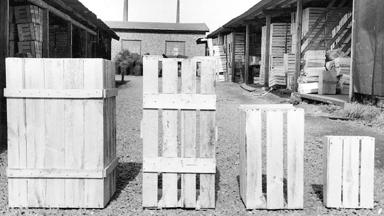 Boxons historia